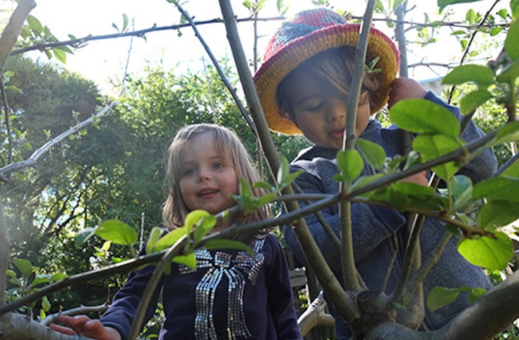 diamond d school software